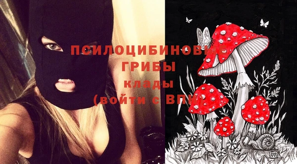 бошки Армянск