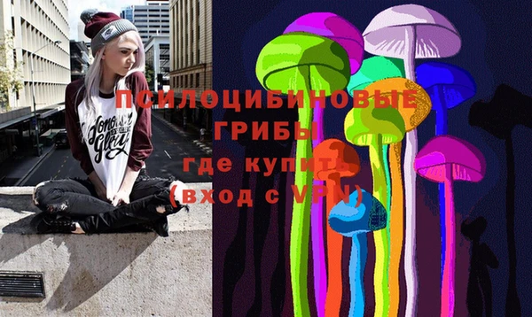 бошки Армянск