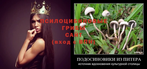 соль курить ск Арсеньев