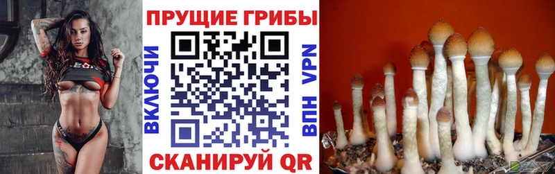 Галлюциногенные грибы прущие грибы Курган