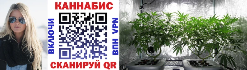 МАРИХУАНА Ganja Курган